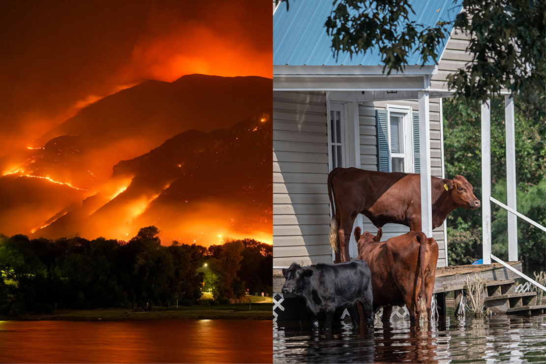 Was sind die Folgen des Klimawandels und der globalen Erwärmung ...