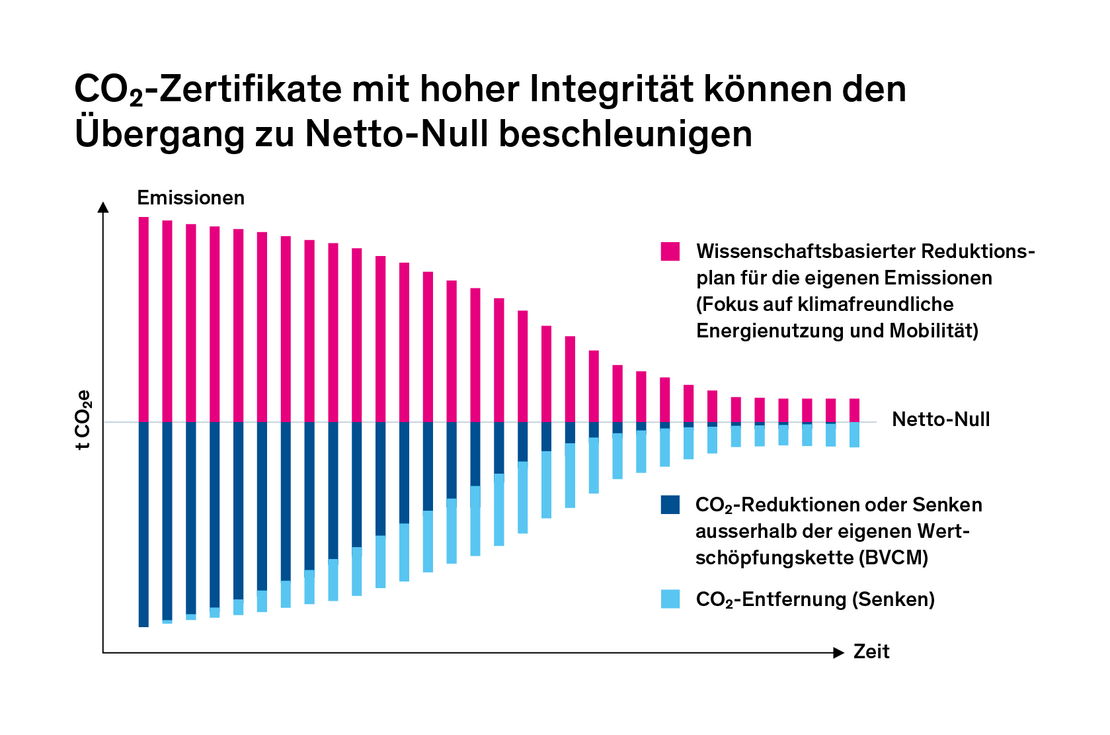 Warum Klimaschutzprojekte Unterstützen: 10 Gute Gründe Für Unternehmen ...