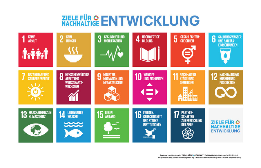 Was versteht man unter den 17 SDG?