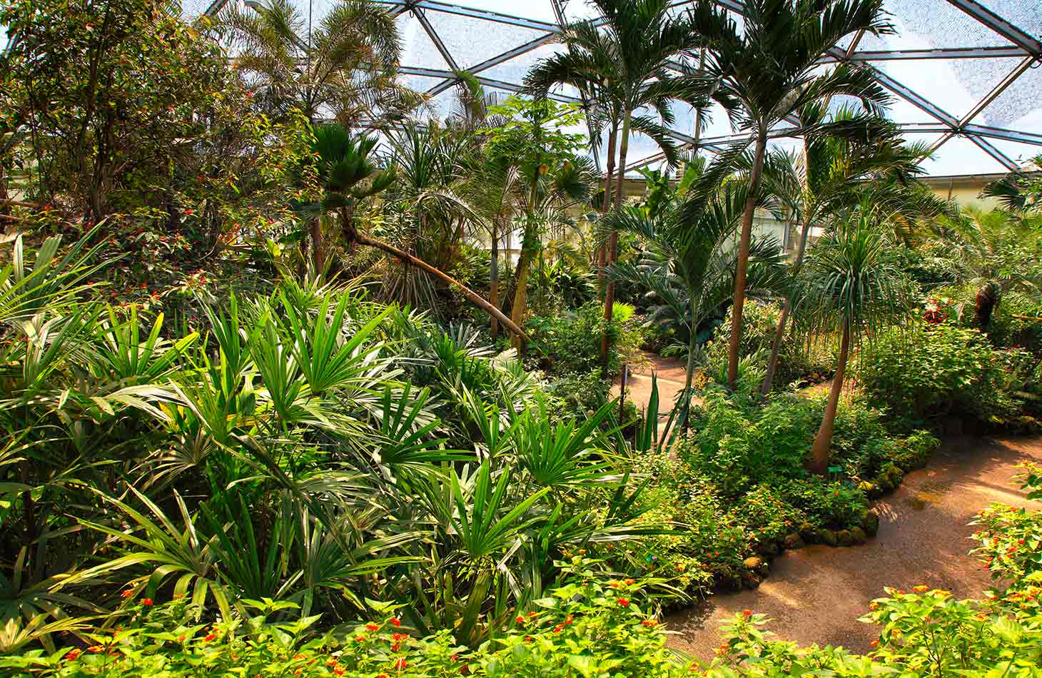 District Heating For The Butterflies At Papiliorama In Switzerland