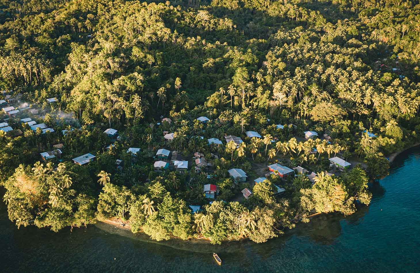 Rainforest Protection Thanks to Indigenous Communities in Solomon Islands